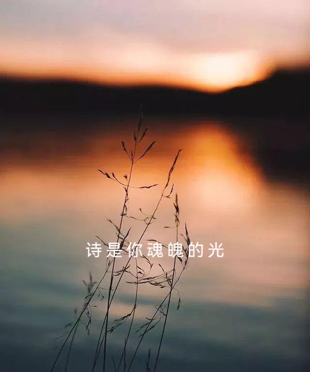 桑恒昌诗歌 ll 致情圣诗人徐志摩 ll 诵读 老菩提（图4）