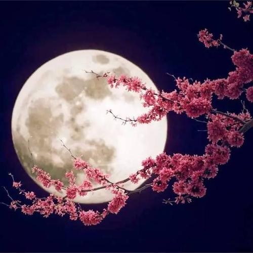 【经典推荐】张建国//青玉案•闹元宵～～油城冰雪灯光秀｛外一首｝（图10）