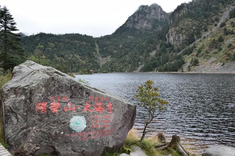 联机全球发布姚文长精品作（图27）