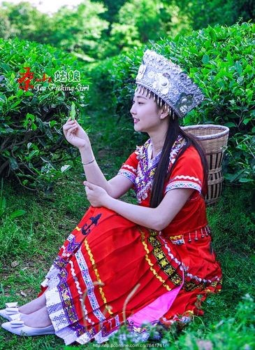 【感悟人生】杨武军//品大红袍茶留句｛外一首｝（图6）