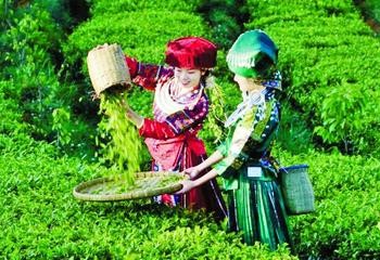 【感悟人生】杨武军//品大红袍茶留句｛外一首｝（图5）