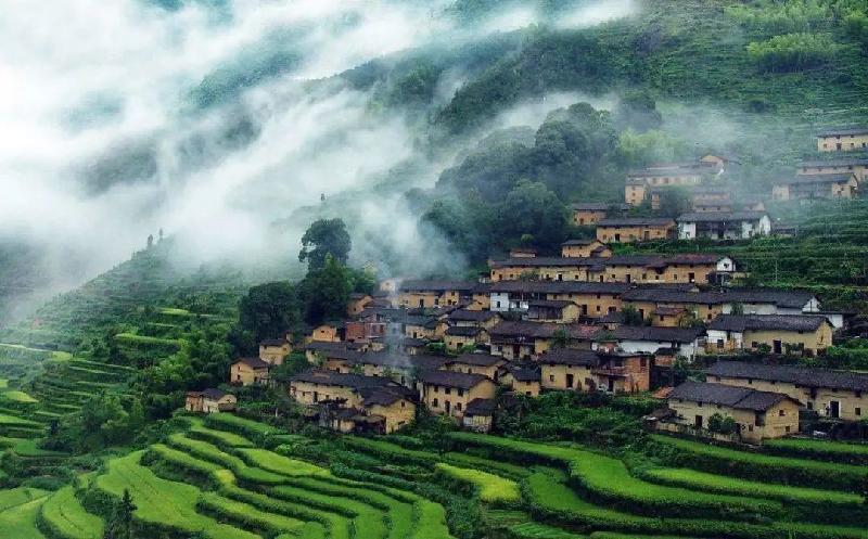 《春》作者：张维清；金牌主播：实者；编辑：宋梅【中国长江文学社】有声文学平台第3370期（图4）