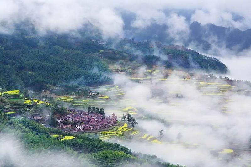 《春》作者：张维清；金牌主播：实者；编辑：宋梅【中国长江文学社】有声文学平台第3370期（图6）