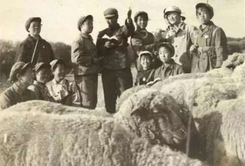 子育,朝阳知青佼佼者 作者‖袁洪杰(图3)