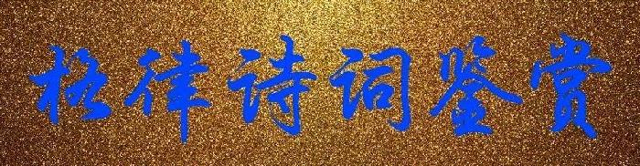 东渡诗社:诗歌作品合辑|海外头条(图30)