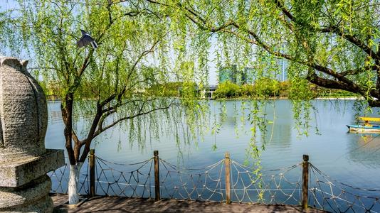 江南诗絮-0505【现代诗苑】(图10)