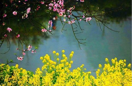江南诗絮-0505【现代诗苑】(图18)