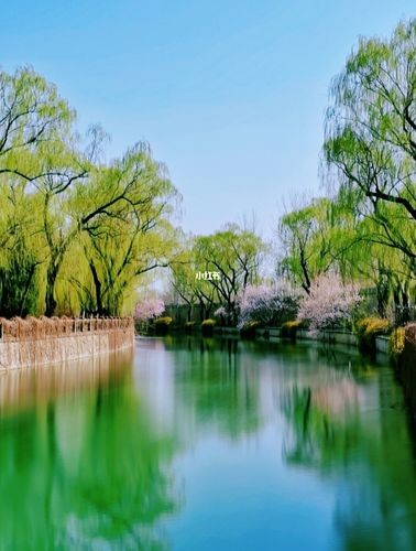 【九江文学社：北京头条】尹连荣先生佳作欣赏（图7）