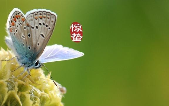 【九江文学社：北京头条】尹连荣先生佳作欣赏（图5）