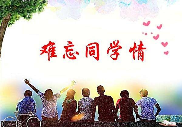 〔诗歌专辑〕作者 乐道（广东）【冰心文化传媒】制作 冰心（图16）