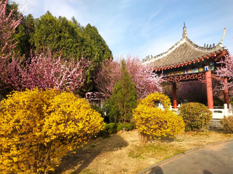 风雅诗社·第十三期·格律诗专栏（图3）