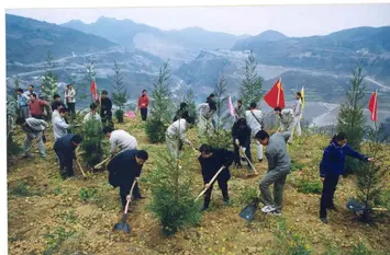 香樟树《西华县址镇开展植树造林助力环境提升记》诵/殷钰
