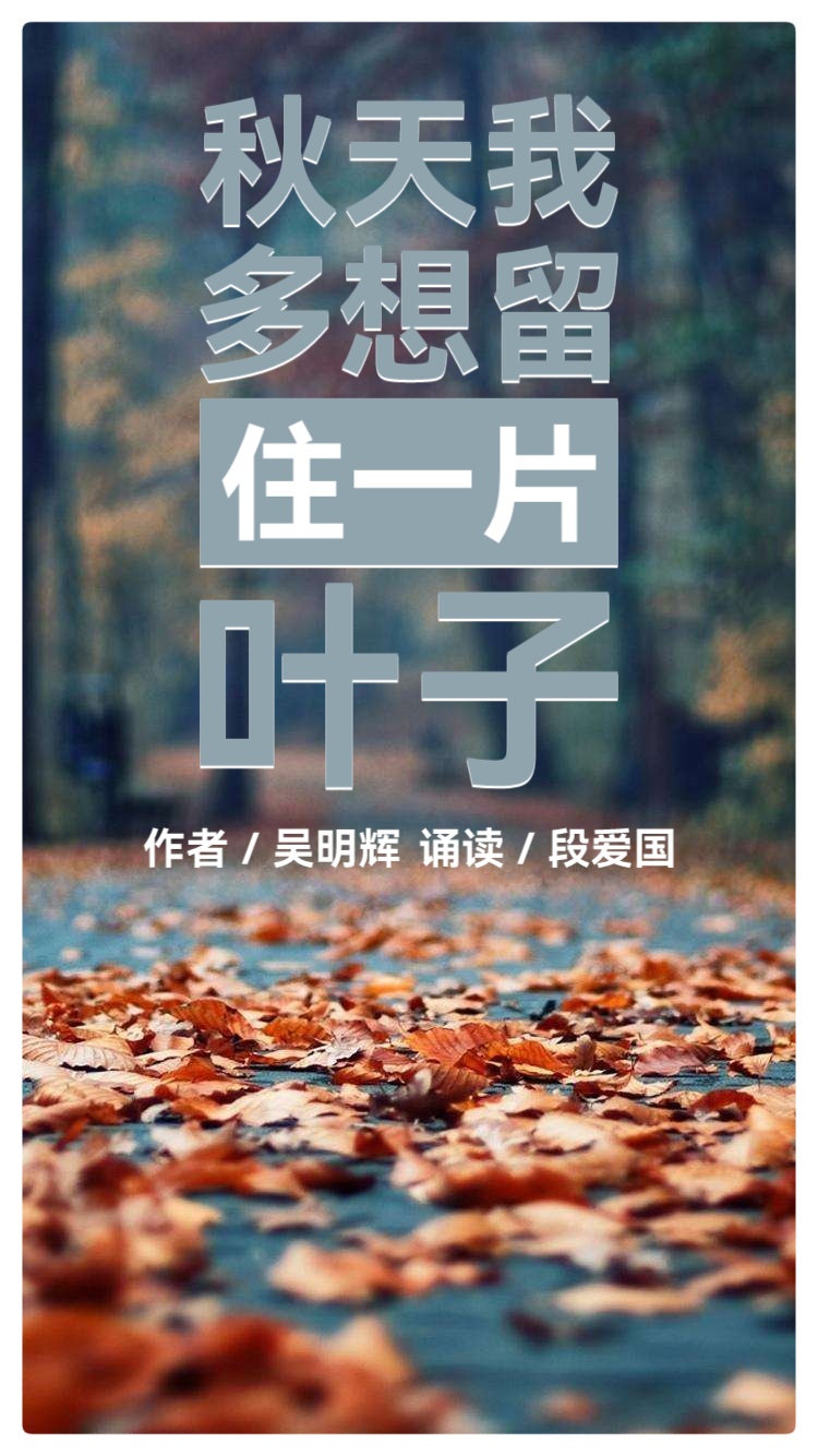 吴明辉诗歌选读ll秋天,我多想留住一片叶子ll诵读 爱国(图2)