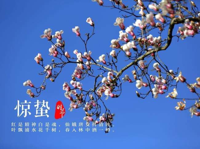 【潇湘文学社】潇湘如兰诗社《惊蛰》(总285期)(图6)