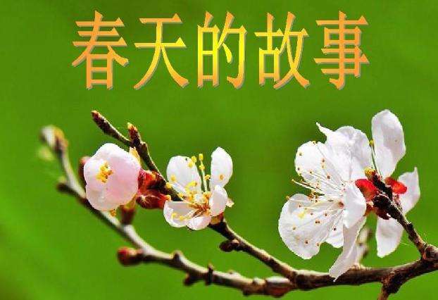 【雅诗总会】精品★杨建致辞(2022年“春天的故事”,以讲述湖北乡土原创诗歌为主题的诗歌朗诵会)(图2)