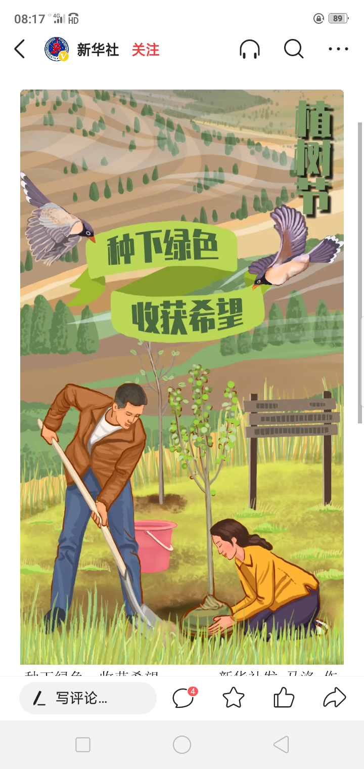 植树节号(图11)