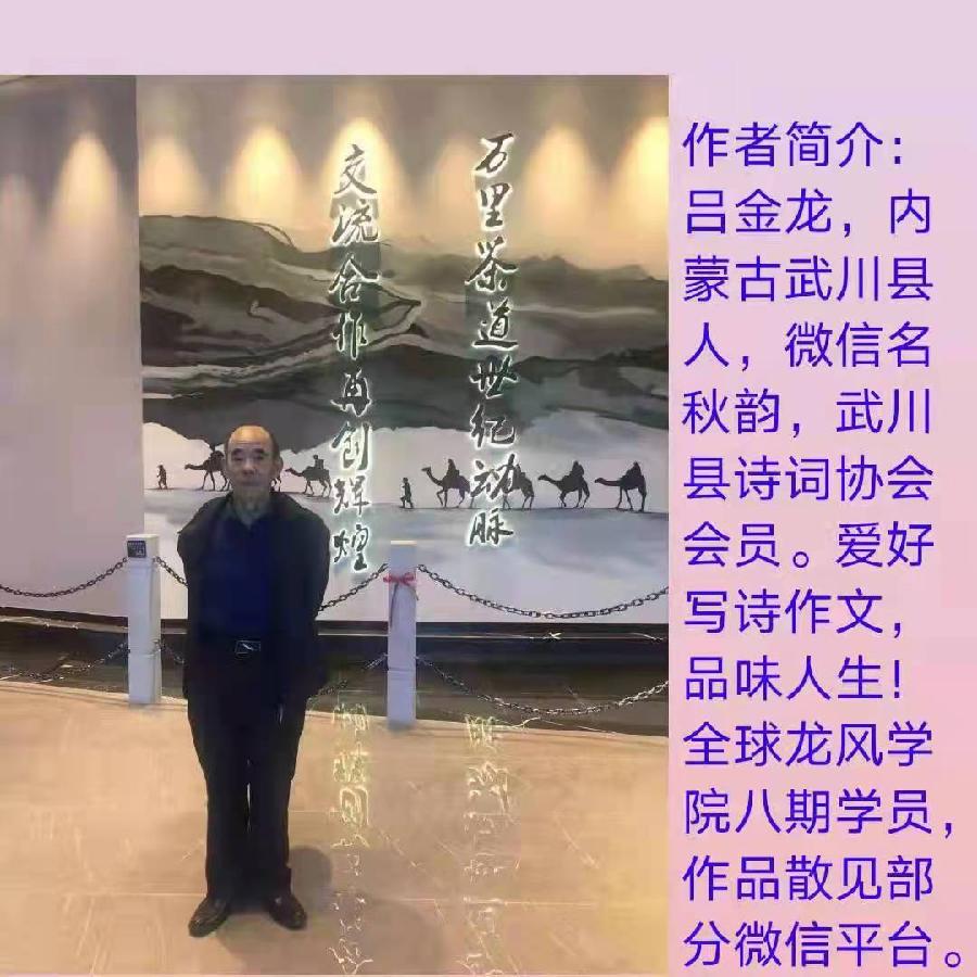 《蝶恋花·问红尘》吕金龙老师佳作欣赏（图5）