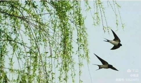 张杰老师佳作推荐 七律•春到（新韵30首）张杰（黑龙江）（图2）