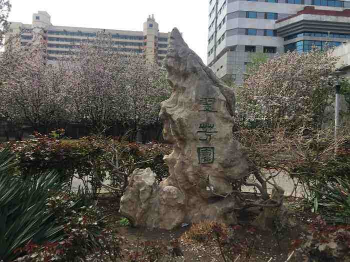 【潇湘文学社】潇湘陶菊诗社《同题嵌句》(286期)(图20)
