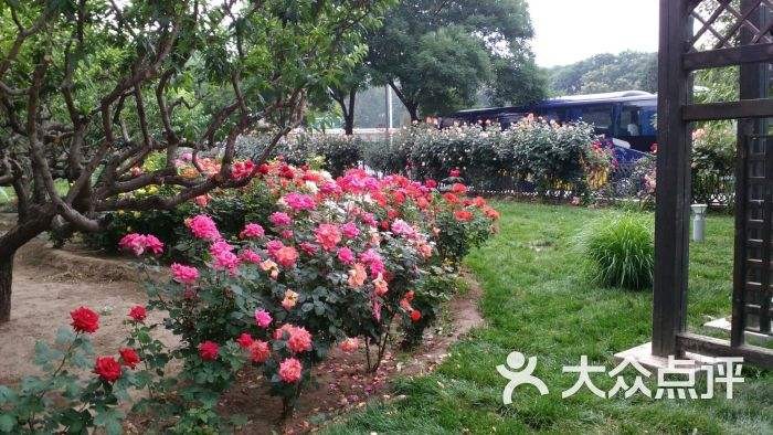【潇湘文学社】潇湘陶菊诗社《同题嵌句》(286期)(图8)