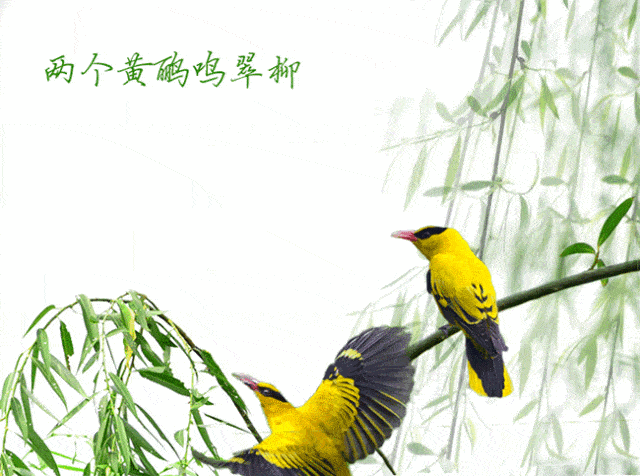 【潇湘文学社】潇湘陶菊诗社《同题嵌句》(286期)(图5)