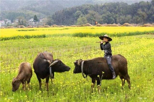 【当代文艺】长篇小说连载《春去冬来(三)》作者:石会文(图5)