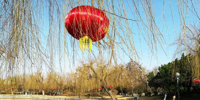 刘鸣利《七律·小葱蘸酱》赏析 诗评/张卫国(图3)