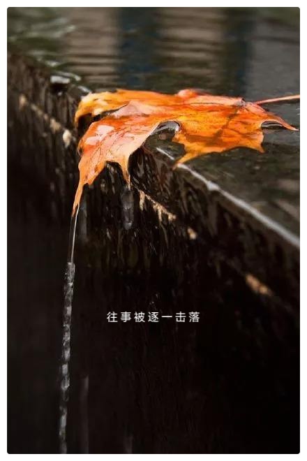 吴明辉诗歌选读∥最后一场秋雨∥诵读 老菩提(图4)