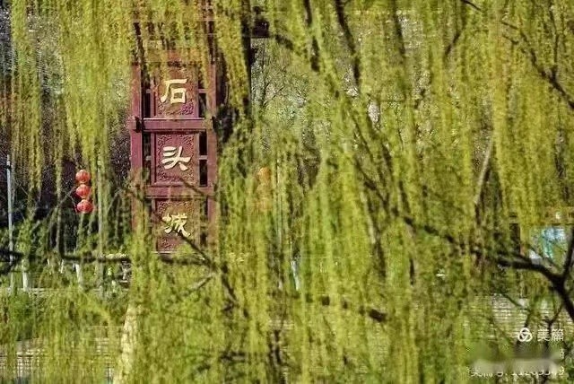 《在南京 找到了我》作者｜陈鸣鸣（南京）【冰心文化传媒】（图3）