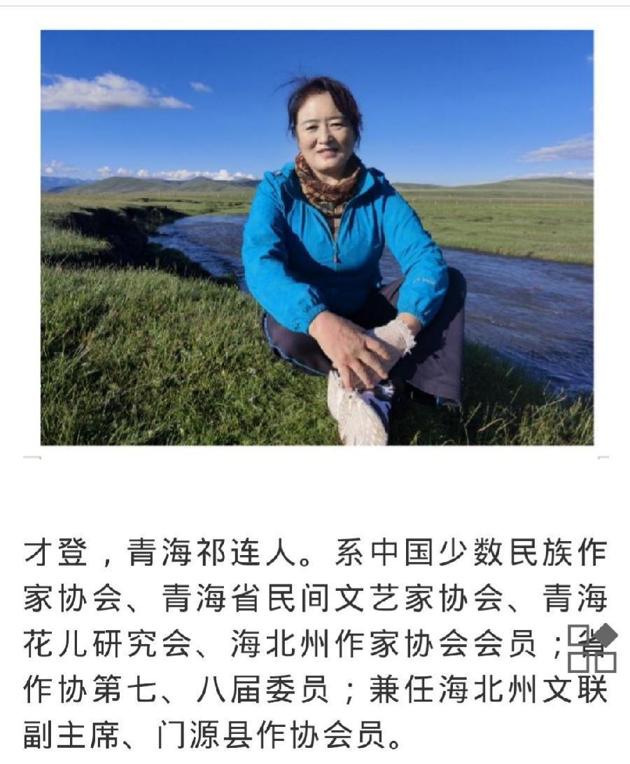 才登: 八·一冰川