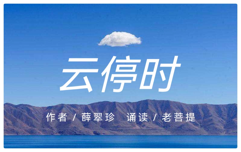 云停时ll作者薛翠珍ll诵读老菩提(图2)