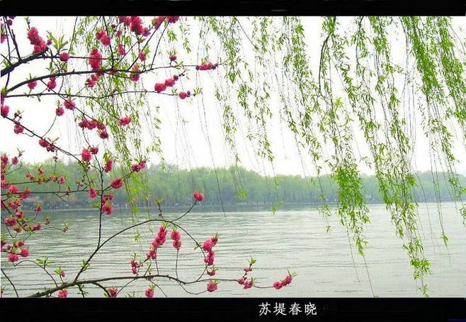 七律.无题（外二首） 作者 淡泊名利（北京）【冰心文化传媒】（图4）