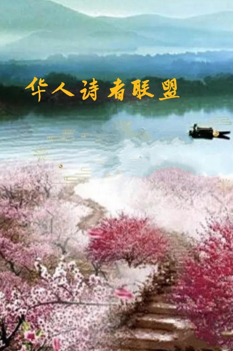 《忆母亲》作者: 鲁午坡【诵读:金牌主播 加政】【华人诗者联盟】[诗者★雅声]总第二百三十九期