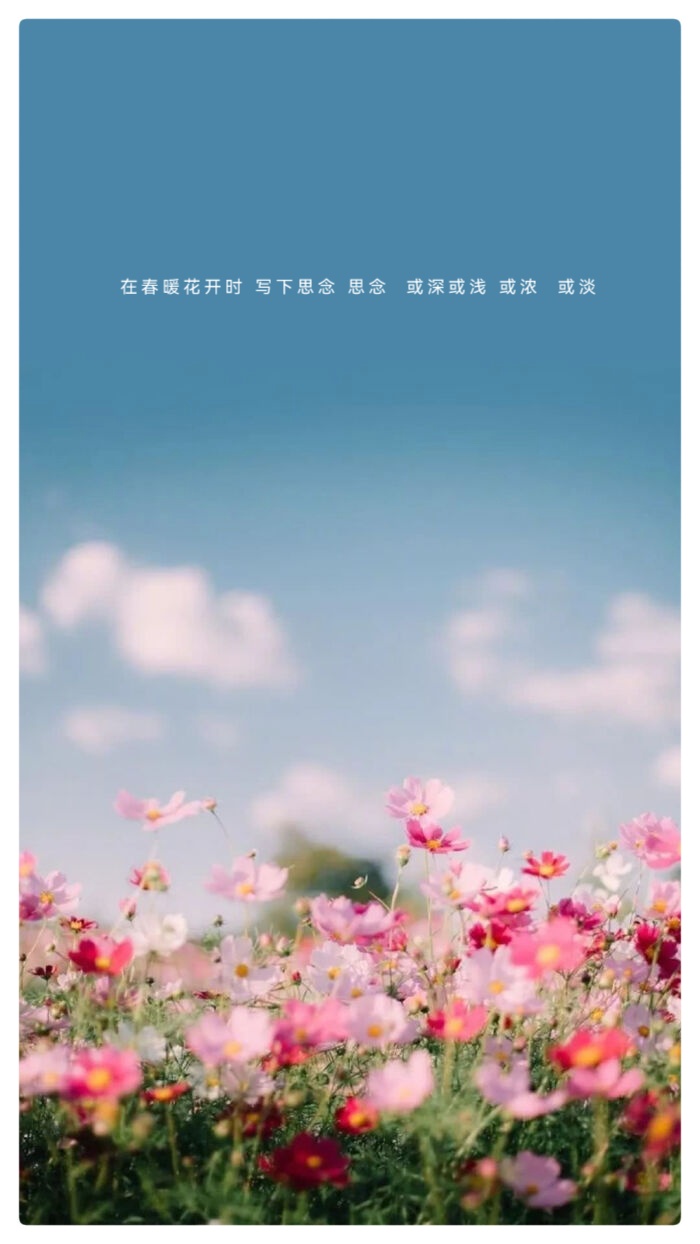 云停时ll作者薛翠珍ll诵读老菩提(图4)