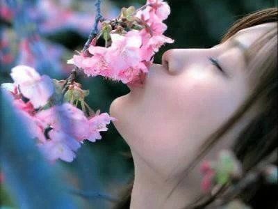 【迎春花开】昨夜天//今生 嗅一朵低眉的花（图2）