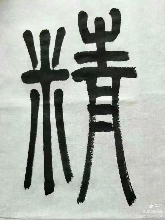 【当代文艺】张龙才书法作品欣赏（图7）