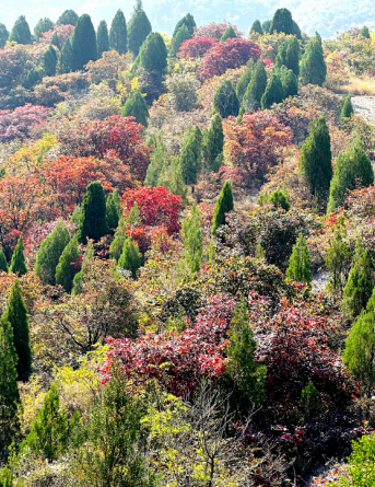 144501057.png image.png
