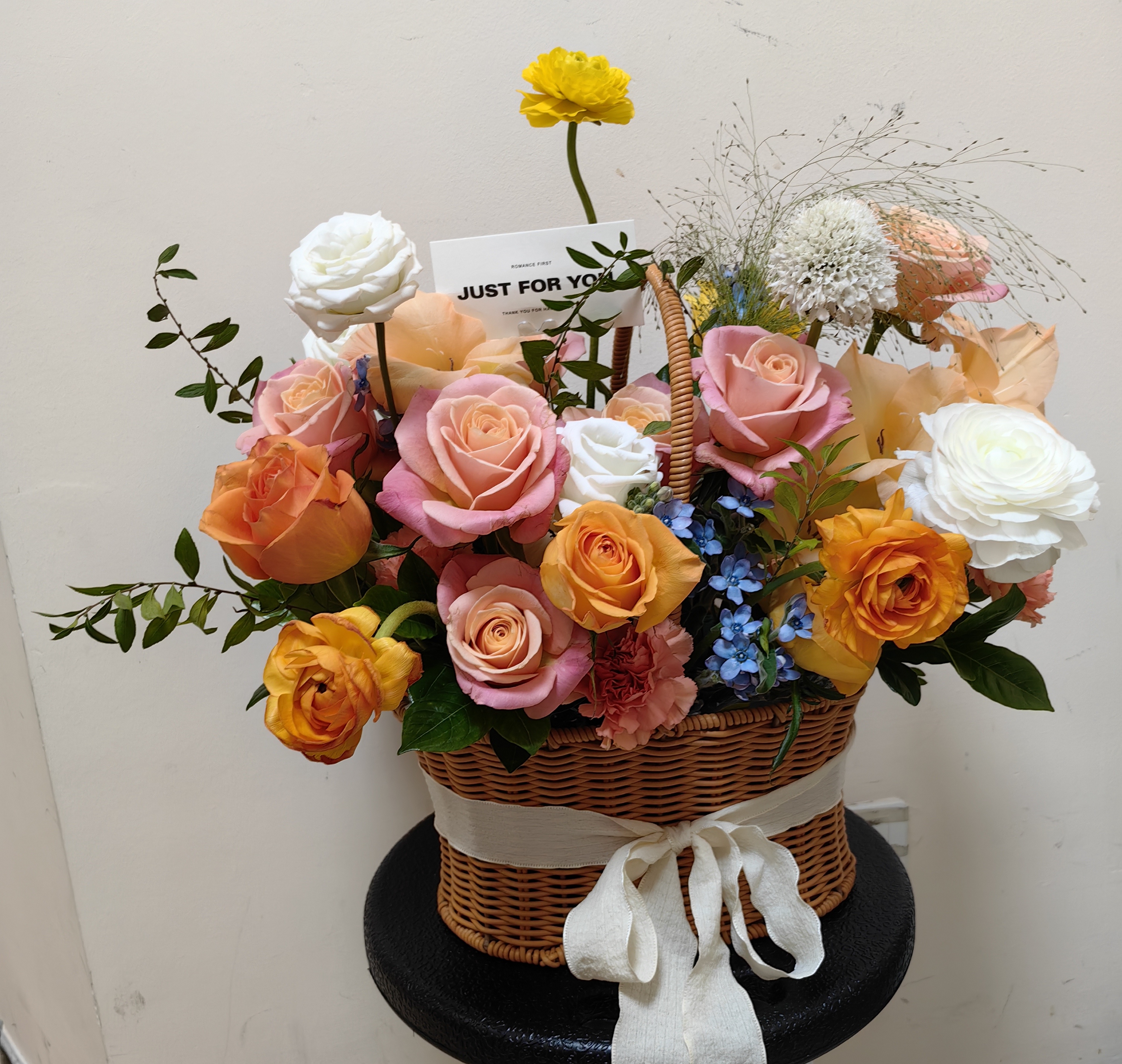 a9135aac8afbf1f0a673531da86df51.jpg