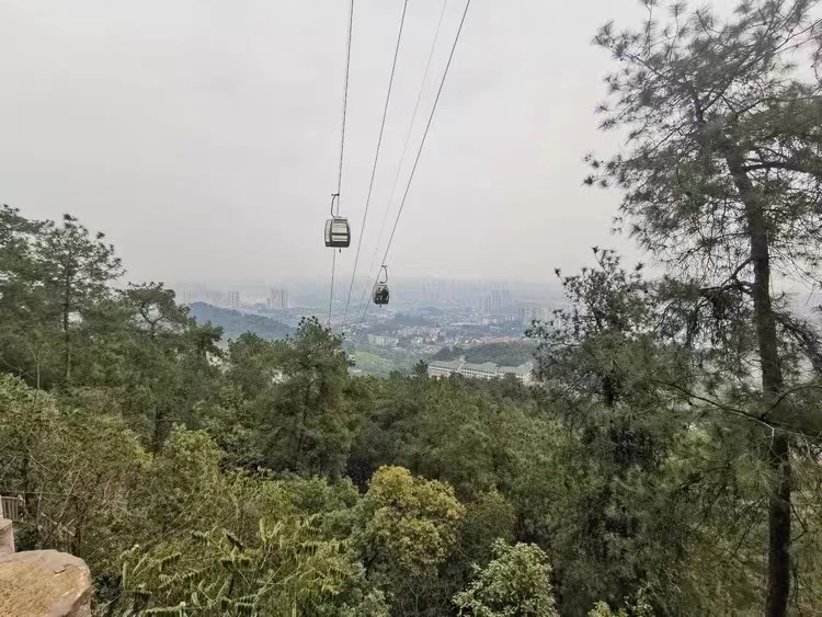 微信图片_20240328151758