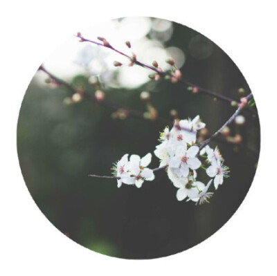 阳春小趣 // 牛东（青岛）