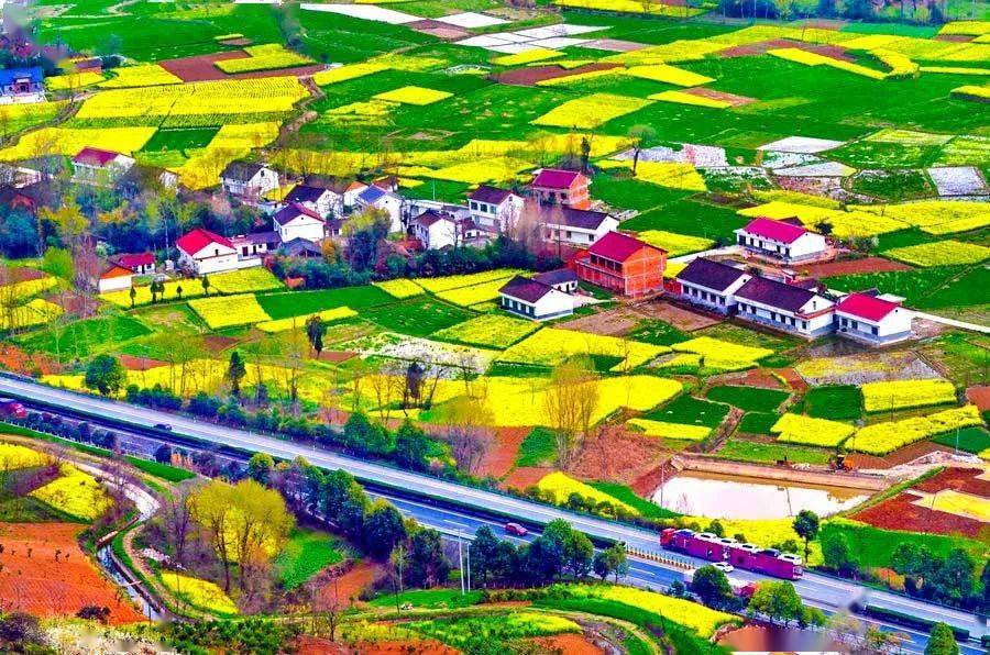 一年的光景 /李炳锋//三月的平原