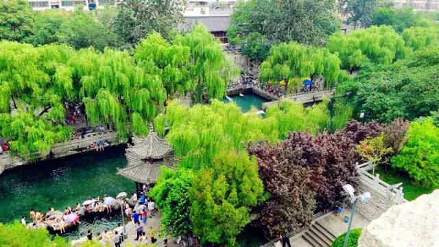 锦绣桑田：泉城柳//桑恒昌（图3）