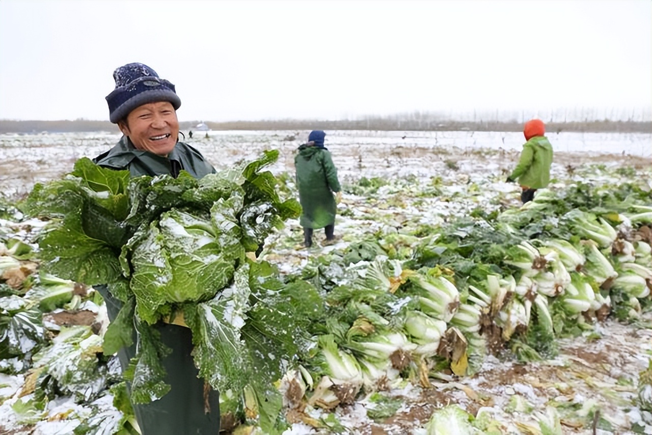 锦绣桑田：小雪 // 桑恒昌（图4）