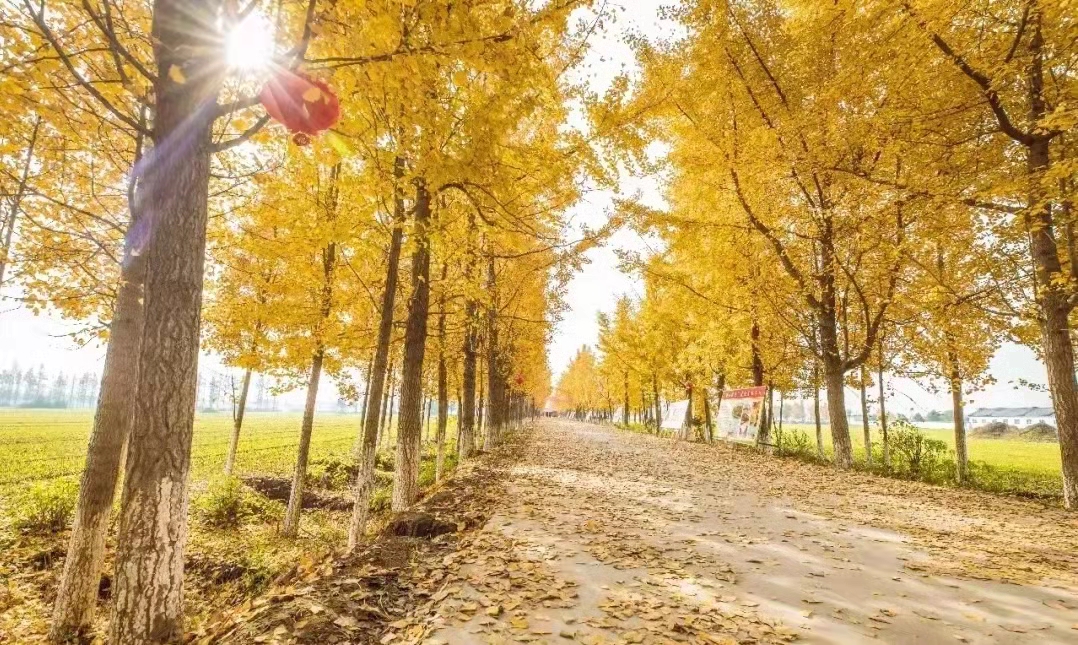 诗城词都：孟冬诗一束 // 宋俊忠（图3）