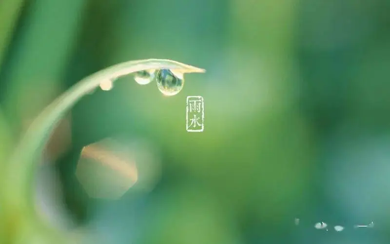 陈光：观雨(作者:陈光 诵读:沈虹)（图5）