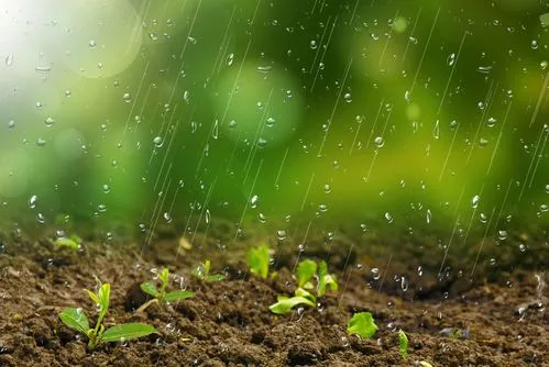 陈光：观雨(作者:陈光 诵读:沈虹)（图7）