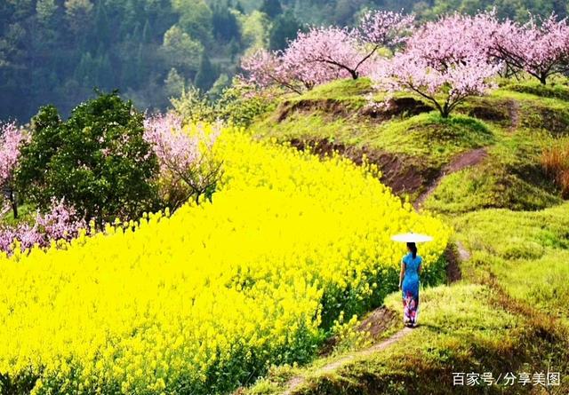 【北京头条】隆重推介【蔡山泼墨诗社】绝律诗词综合刊第001期(图15)