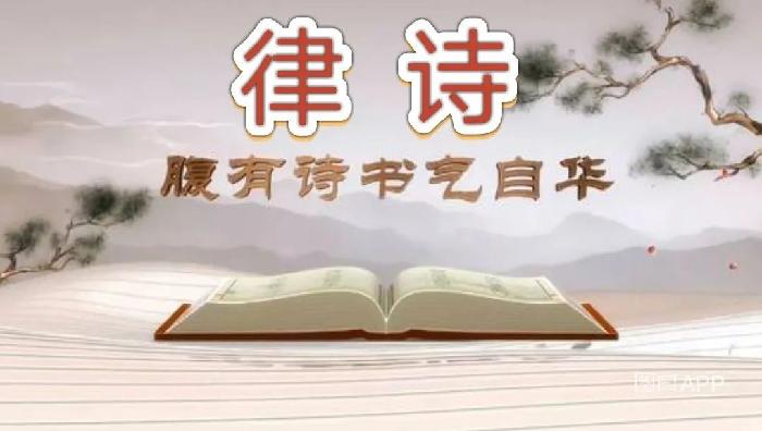 【潇湘文学社】潇湘如兰诗社《元宵专刊》(总266期)(图17)