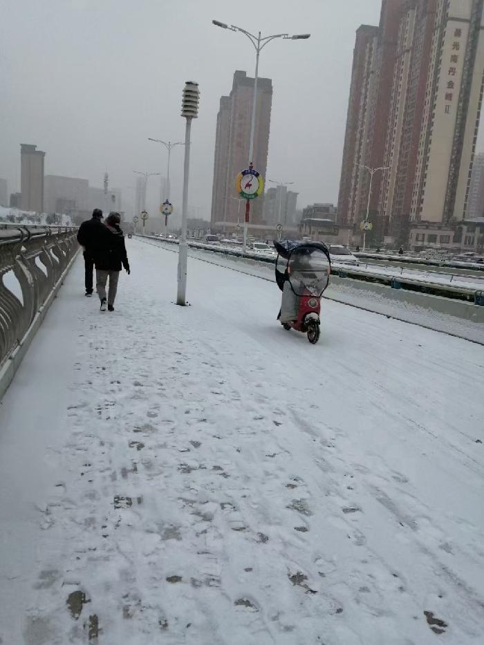 【雨水节】春雪飞舞：文／李晓梅（陕西商洛）（图6）