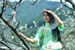 音画欣赏《梨花雨》作者/文雅儒夫 主播/阿伞 编辑/胡琴(图2)